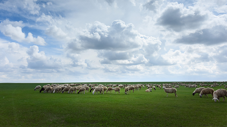 关于防雷器的挑选有哪些意见？